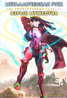 Изображение товара Металлическая Руж (13 серий) / Взрыв мужества (12 серий) (2 DVD)