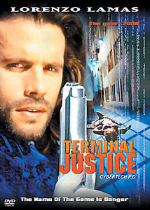 Виртуальный полицейский на DVD