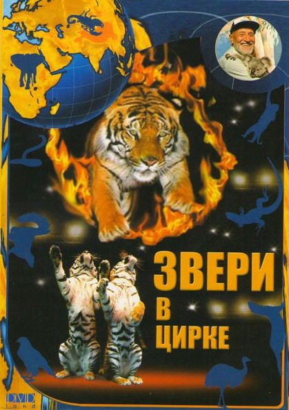 Звери в цирке на DVD