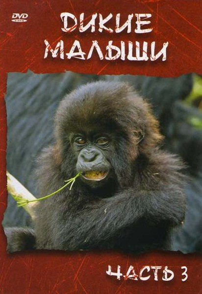 Дикие малыши 3 Часть на DVD Дикие малыши 3 Часть на DVD
