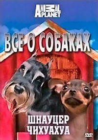 Discovery Все о собаках Шнауцер Чихуахуа на DVD