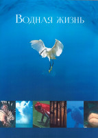 Изображение товара Водная жизнь 1 Сезон (26 серий) (3DVD)