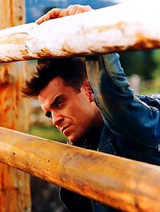 Robbie Williams - Where Egos Dare на DVD