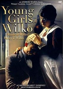 Барышни из Вилько на DVD Барышни из Вилько на DVD