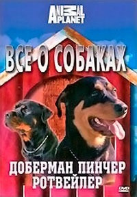 Discovery Все о собаках Доберман пинчер Ротвейлер на DVD Discovery Все о собаках Доберман пинчер Ротвейлер на DVD
