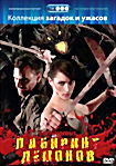 Лабиринт демонов на DVD