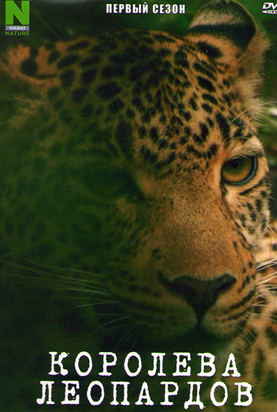 Королева леопардов 1 Сезон (2 серии) на DVD