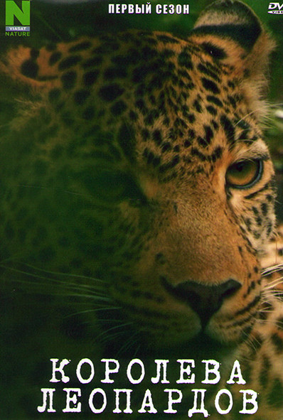 Королева леопардов 1 Сезон (2 серии) на DVD