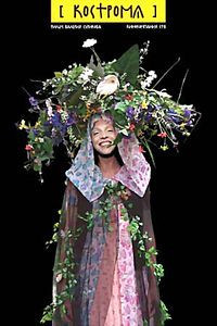 Кострома  на DVD