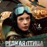 Редкая птица (4 серии)* на DVD Редкая птица (4 серии)* на DVD