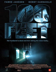 100 футов на DVD 100 футов на DVD