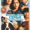 Семья по быстрому на DVD