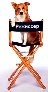 Возвращение Бенджи/Четвероногая звезда/Моцарт и его друзья/Лапы/Лэсси/В конуре/Король воздуха:Лига чемпионов/Король воздуха:Возвращение Спайка на DVD