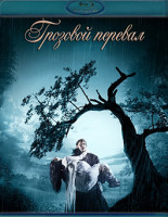 Изображение товара Грозовой перевал (2009)(Blu-ray)*