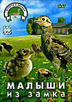 Малыши из замка  на DVD