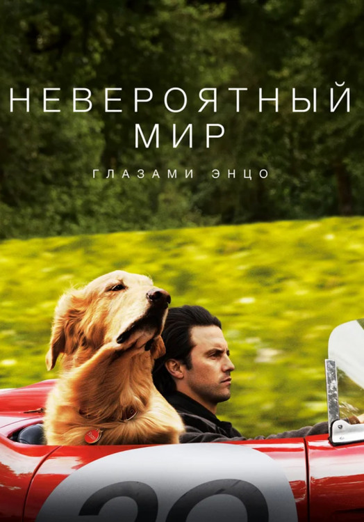 Невероятный мир глазами Энцо* на DVD