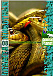 Планета животных 8 ( Змеелов 12 эпизодов / Экстрималы 3 эпизода / Безумный Майк и Марк 3 эпизода / Животные экстрималы / Прирожденные убийцы 2 эпизода на DVD Планета животных 8 ( Змеелов 12 эпизодов / Экстрималы 3 эпизода / Безумный Майк и Марк 3 эпизода / Животные экстрималы / Прирожденные убийцы 2 эпизода на DVD