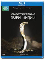 Изображение товара BBC Смертоносные змеи Индии (Blu-ray)
