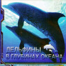 Дельфины в глубинах океана 3D+2D (Blu-ray) на Blu-ray Дельфины в глубинах океана 3D+2D (Blu-ray) на Blu-ray