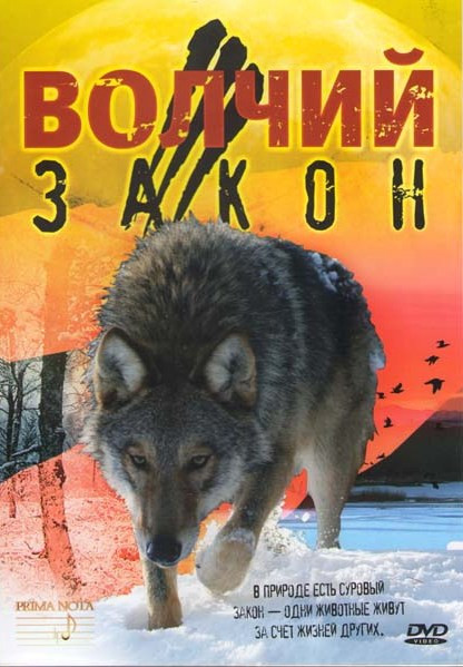 Волчий закон на DVD