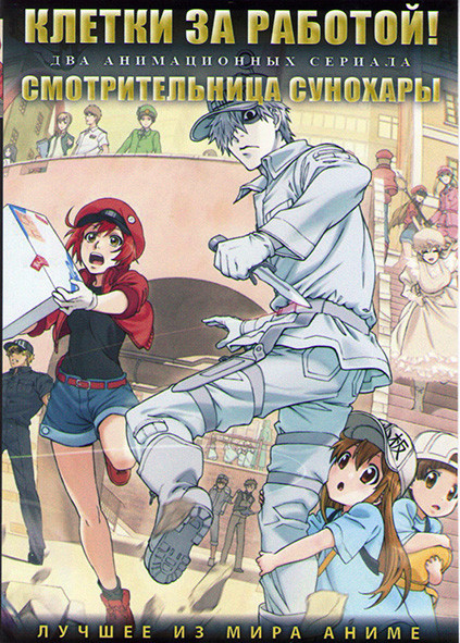 Клетки за работой (13 серий) / Смотрительница Сунохары (12 серий) (2 DVD) на DVD