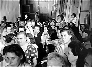 Самая красивая на DVD