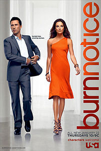 Лунный свет 1-3 сезоны (3 dvd) на DVD