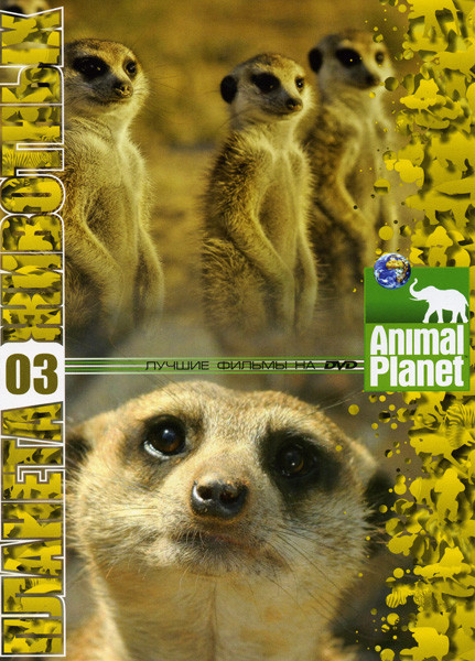 Планета животных 3 (Дневник большой кошки 13 эпизодов / Поместье сурикатов 26 эпизодов / Драконы живьем 2 эпизода / Динго австралийские изгнанники) на DVD