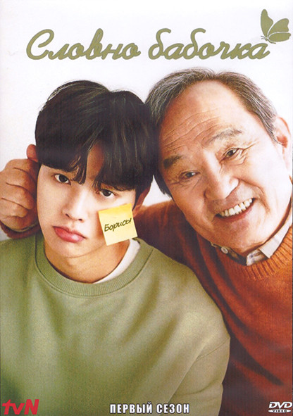 Словно бабочка 1 Сезон (12 серий) (3DVD) на DVD