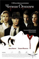 Изображение товара Черная орхидея