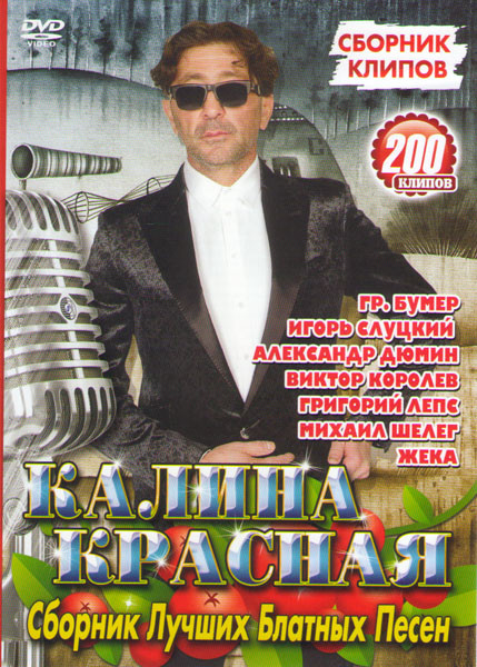 Калина красная Сборник лучших блатных песен 200 клипов на DVD