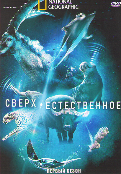 Сверх Естественное 1 Сезон (6 серий) на DVD Сверх Естественное 1 Сезон (6 серий) на DVD