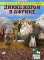 Изображение товара Дикие изгои в Африке