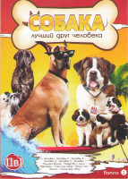 Изображение товара Собака друг человека (Бетховен 1,2,3,4,5 / Бетховен Большой бросок / Рождество с Чилли / Мармадюк / Отель для собак / Белый плен / Феликс лучший друг