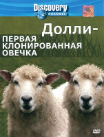 Изображение товара Discovery Долли первая клонированная овечка