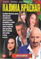 Изображение товара Калина красная новые хиты шансона 200 клипов