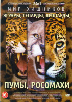 Изображение товара Мир хищников Ягуары гепарды леопарды пумы росомахи (Экспедиция Ягуар (6 серий) / Гепарды Наперекор всему / Королева леопардов / На хвосте леопарда / Г