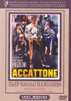 Изображение товара Аккатоне 