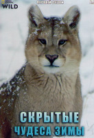 Изображение товара Скрытые чудеса зимы 1 Сезон (3 серии)