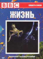 Изображение товара BBC Жизнь (10 серий) (5 DVD)