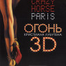 Огонь Кристиана Лубутена 3D (Blu-ray)* на Blu-ray