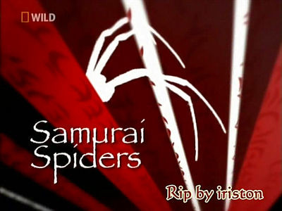 Пауки  на DVD