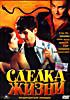 Сделка жизни  на DVD