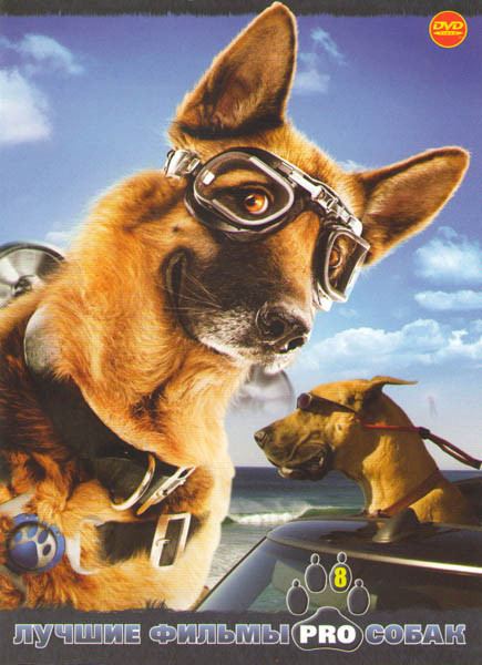 Лучшие фильмы PRO собак 08 (Кошки против собак / Кошки против собак Месть Китти Галор / В поисках Санта Лапуса / Мармадюк / Благодаря Винн Дикси / Гер на DVD Лучшие фильмы PRO собак 08 (Кошки против собак / Кошки против собак Месть Китти Галор / В поисках Санта Лапуса / Мармадюк / Благодаря Винн Дикси / Гер на DVD