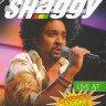 Shaggy Live at Chiemsee Reggae Summer на DVD Shaggy Live at Chiemsee Reggae Summer на DVD