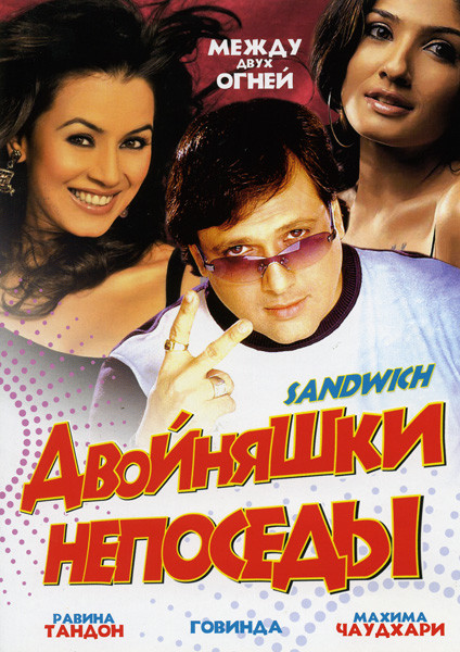 Двойняшки непоседы на DVD Двойняшки непоседы на DVD