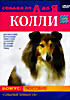 Собаки от А до Я: Колли на DVD