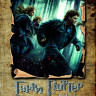Гарри Поттер и Дары смерти 1 Часть* на DVD