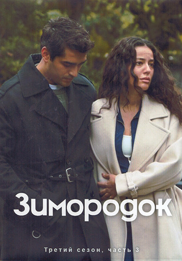 Зимородок 3 Сезон 3 Часть (17-24 серии) (4DVD) на DVD
