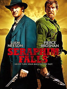 Водопад ангела на DVD Водопад ангела на DVD